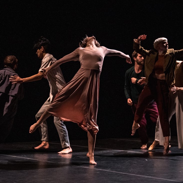 Compagnie Virginie Brunelle performing Les Corps Avalés