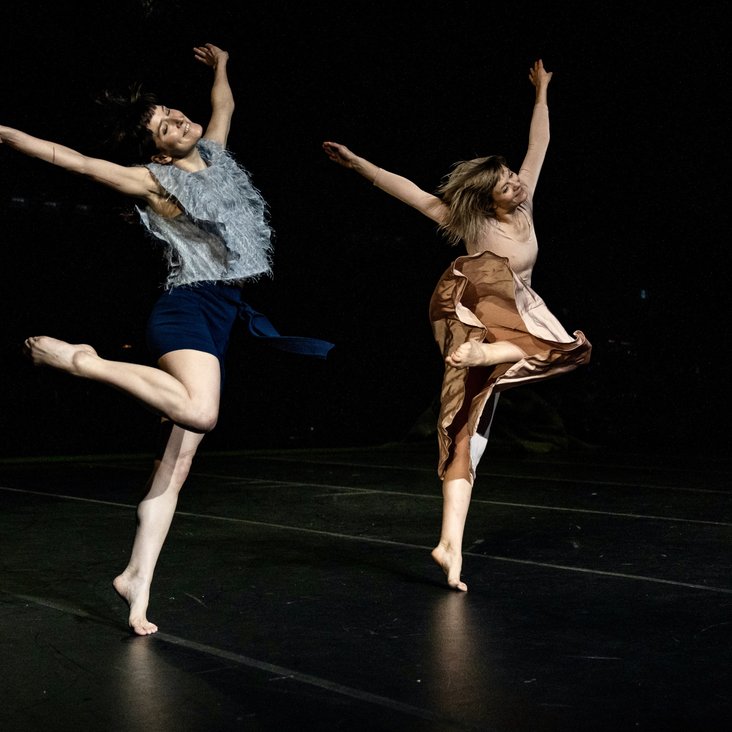 Compagnie Virginie Brunelle performing Les Corps Avalés