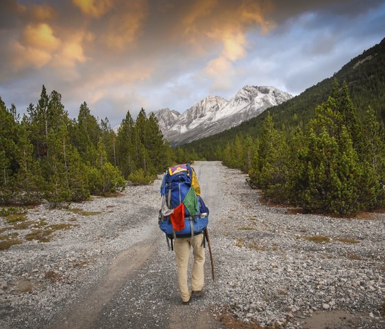 Gregor Sieböck auf einem steinigen Weg, gesäumt von Bäumen, im Hintergrund sind Berge zu sehen