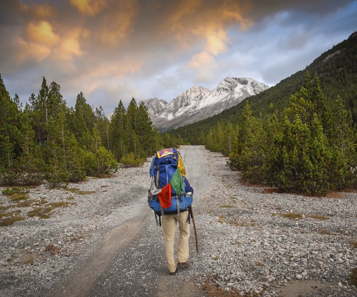 Gregor Sieböck auf einem steinigen Weg, gesäumt von Bäumen, im Hintergrund sind Berge zu sehen