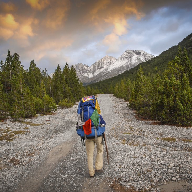 Gregor Sieböck auf einem steinigen Weg, gesäumt von Bäumen, im Hintergrund sind Berge zu sehen