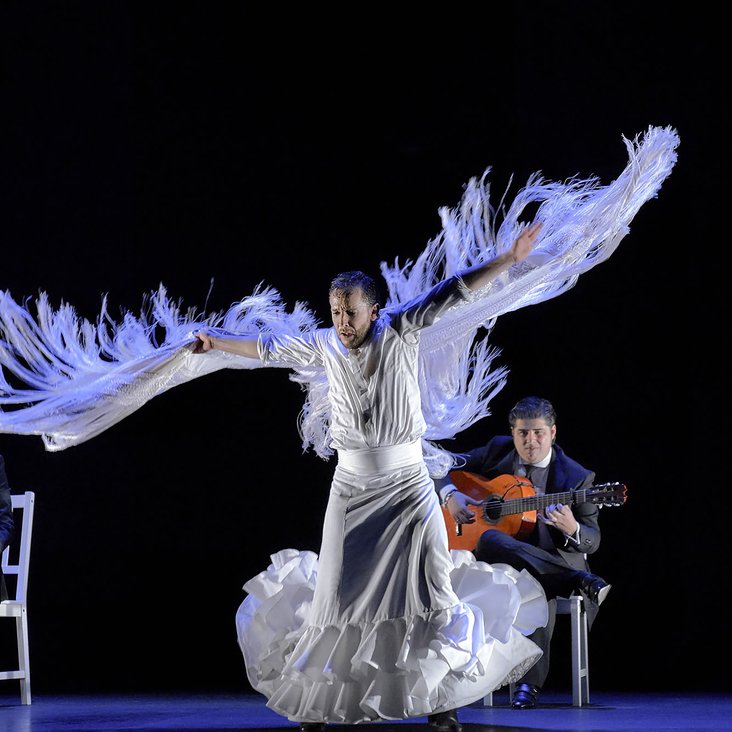 Eine Flamencotänzerin mit einem ausladenden Kleid