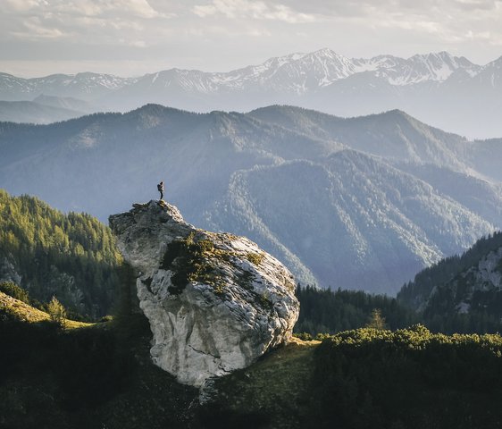 Eine Berglandschaft mit schneebdeckten Gipfeln im Hintergrund, im Vordergrund felsige und bewaldete Bäume