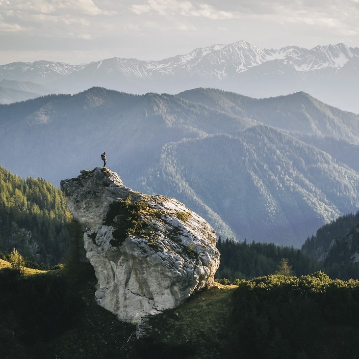 Eine Berglandschaft mit schneebdeckten Gipfeln im Hintergrund, im Vordergrund felsige und bewaldete Bäume