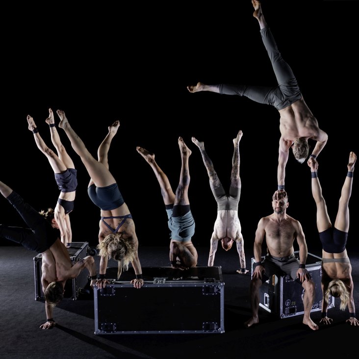 Gravity & Other Myths performing Ten Thousand Hours