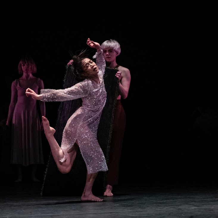 Compagnie Virginie Brunelle performing Les Corps Avalés