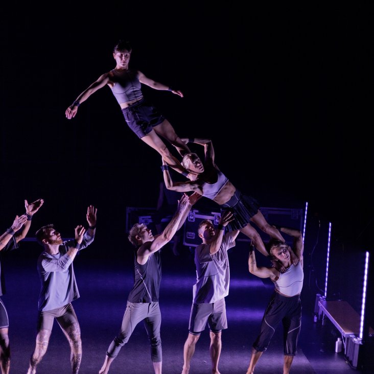 Gravity & Other Myths performing Ten Thousand Hours