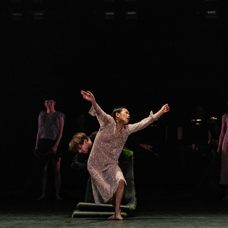 Compagnie Virginie Brunelle performing Les Corps Avalés