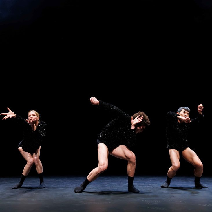 Tänzer:innen in Kostüm auf der Bühne, der Boden ist schwarz und die Bühne ist professionell ausgeleuchtet.