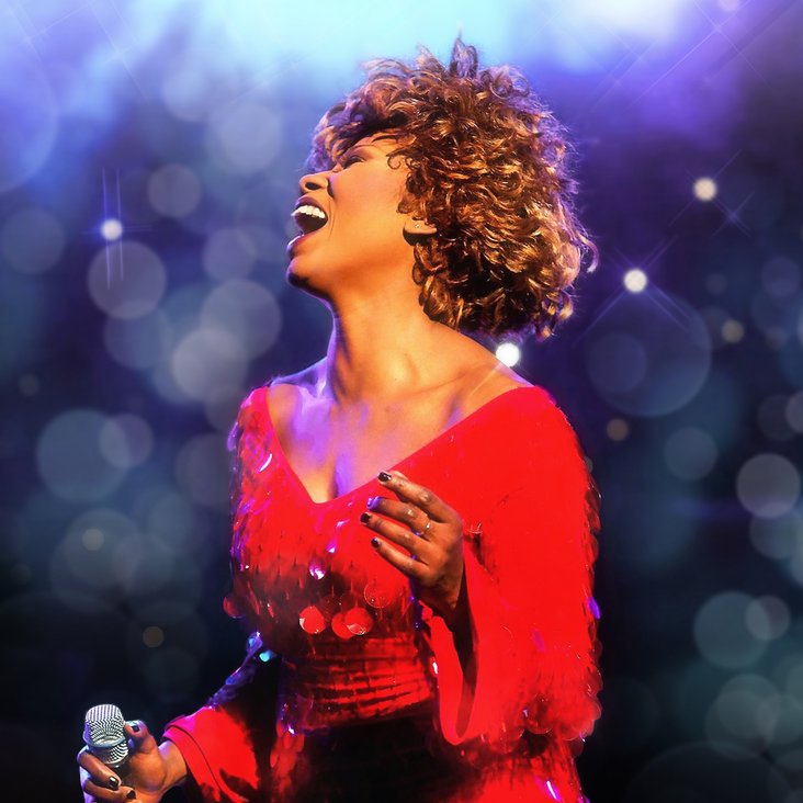 Die Tina Turner Story: Eine Sängerin im roten Kleid mit einem Mikrofon in der Hand