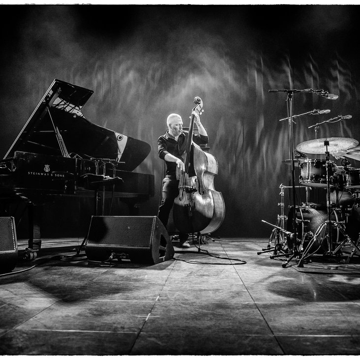 Avishai Cohen Trio