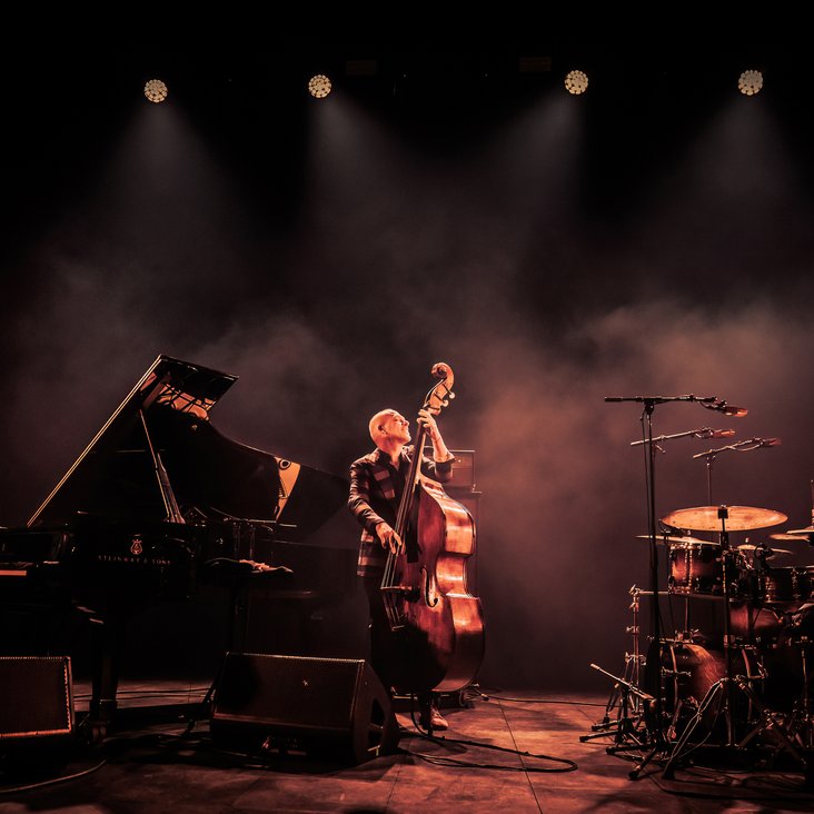 Avishai Cohen Trio